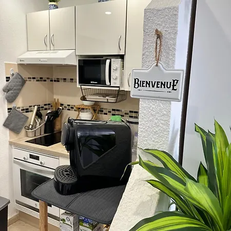 Studio 2 Personnes Tenerife Sud Aparthotel