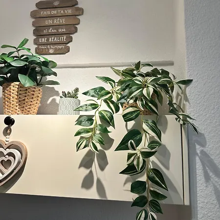 Apartmanhotel Studio 2 Personnes Tenerife Sud Costa Adeje (Tenerife)